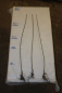 Preview: Knackweide (Salix fragilis) Liefergröße: 50-80 cm